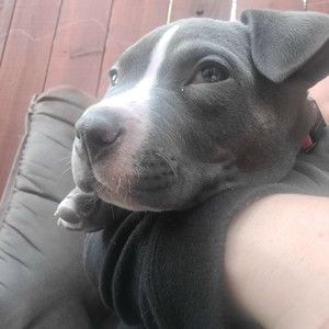 Meet your Posher, Barbara